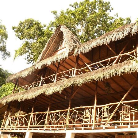 Hostal Pakay Tena Ngoại thất bức ảnh