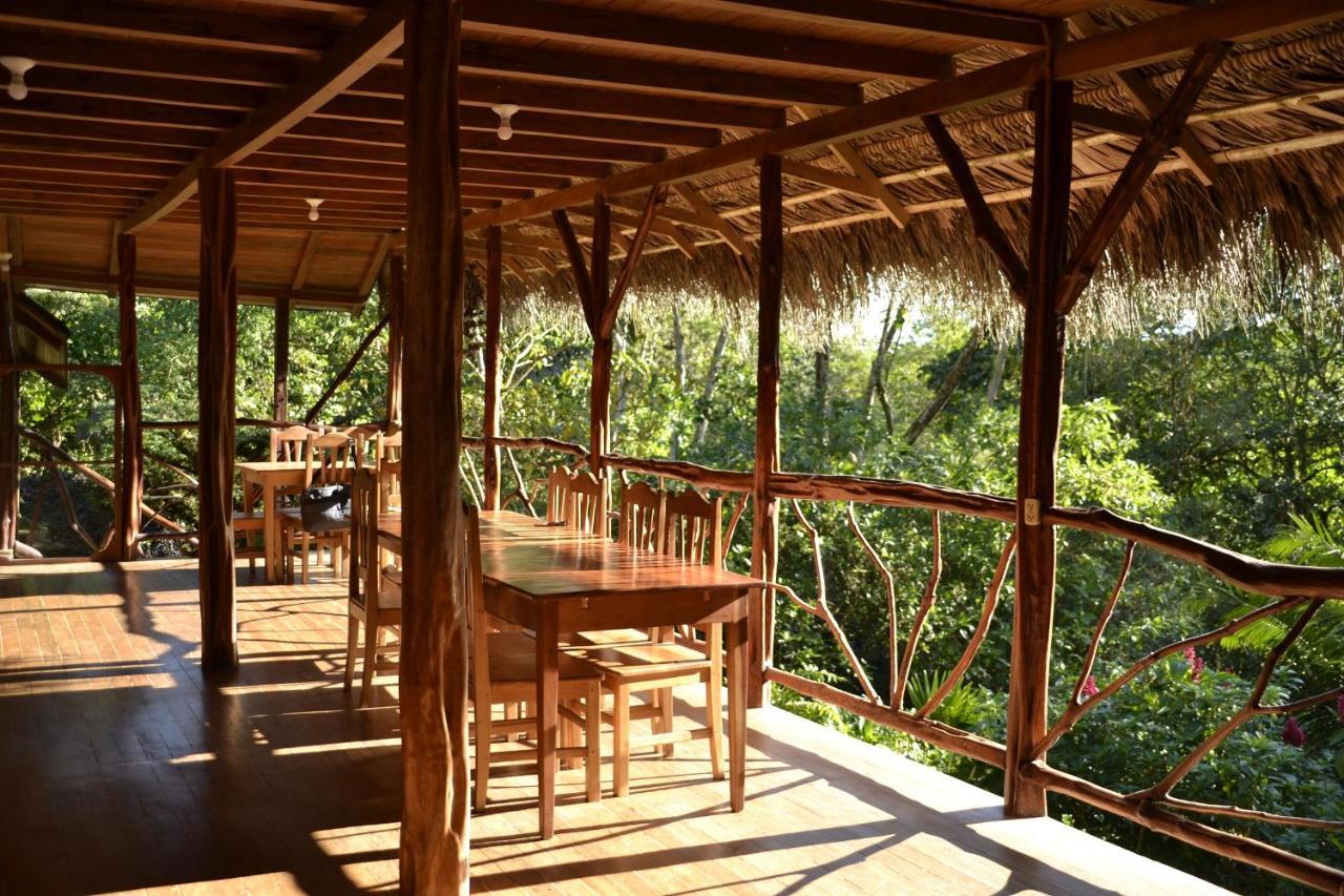 Hostal Pakay Tena Ngoại thất bức ảnh