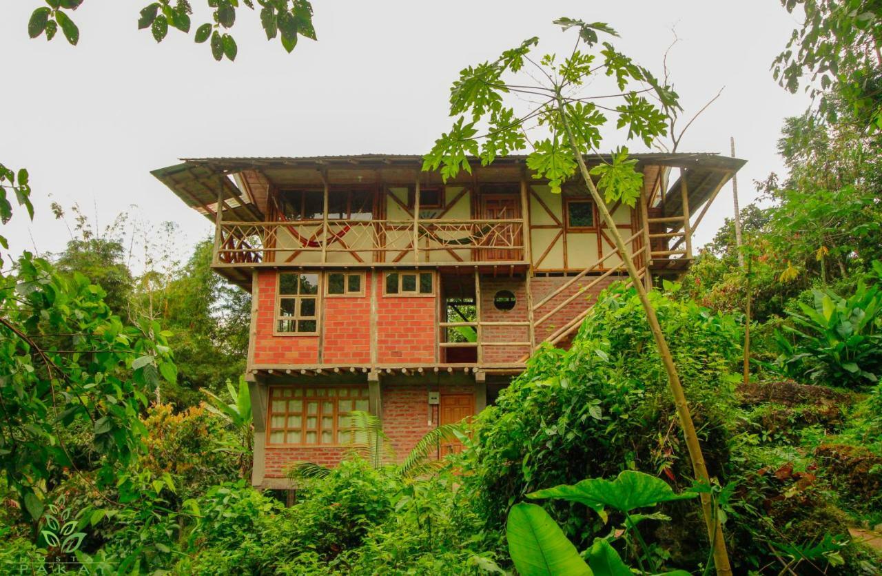 Hostal Pakay Tena Ngoại thất bức ảnh