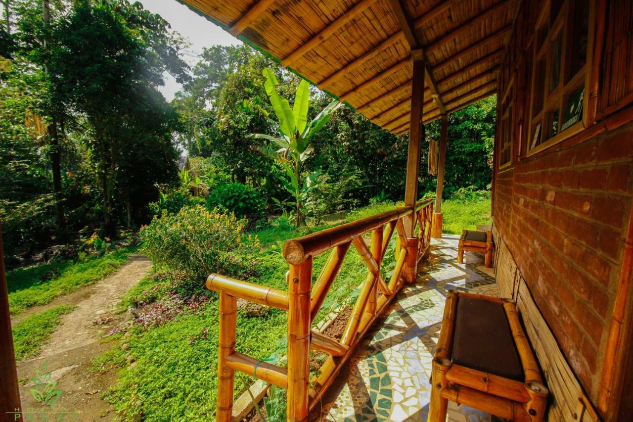 Hostal Pakay Tena Ngoại thất bức ảnh