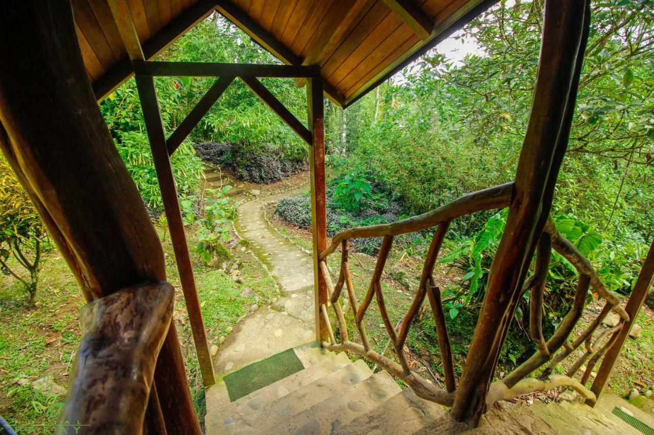 Hostal Pakay Tena Ngoại thất bức ảnh