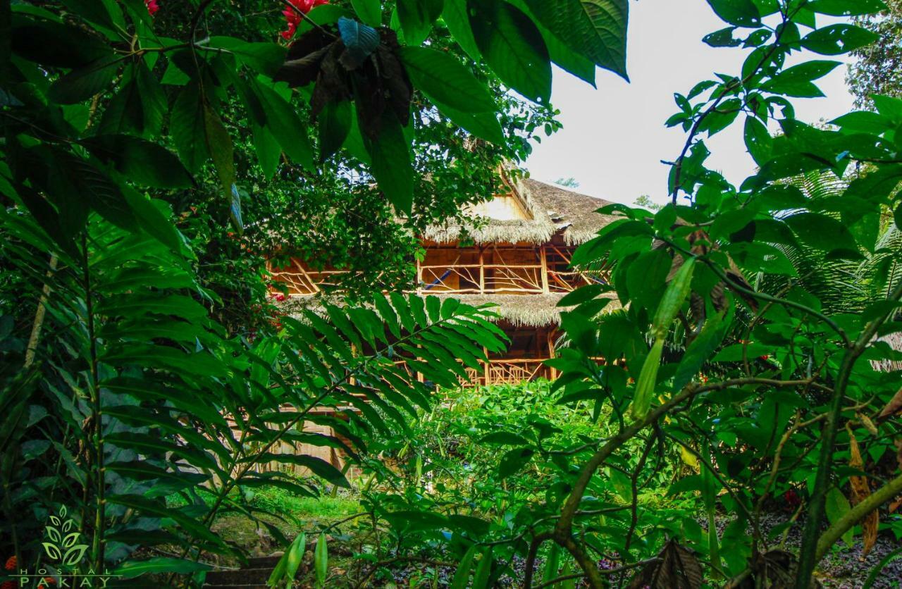 Hostal Pakay Tena Ngoại thất bức ảnh