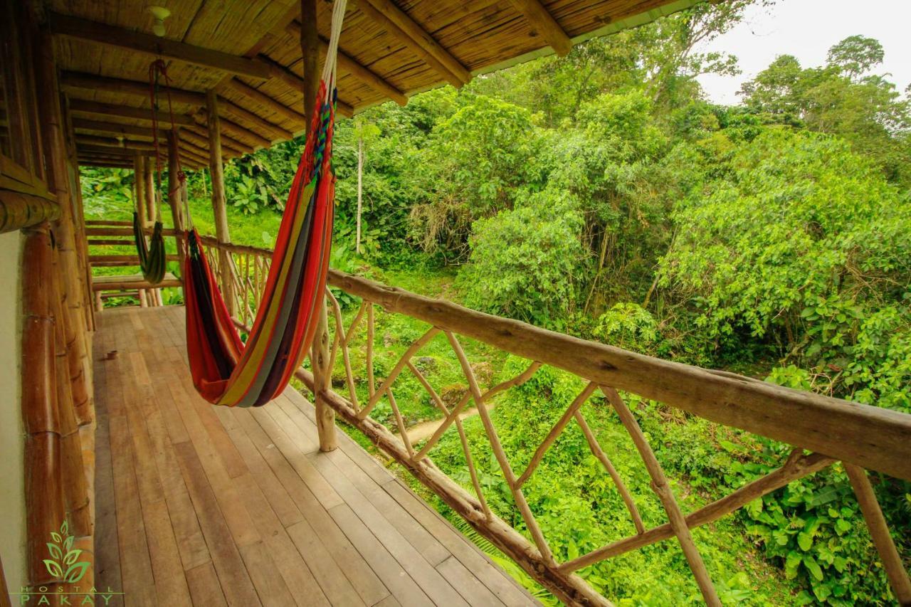 Hostal Pakay Tena Ngoại thất bức ảnh