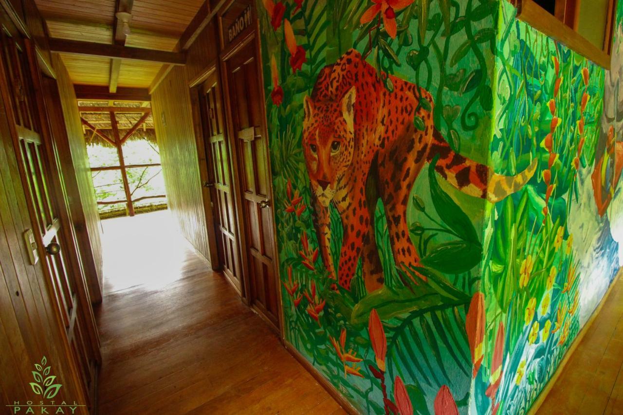 Hostal Pakay Tena Ngoại thất bức ảnh