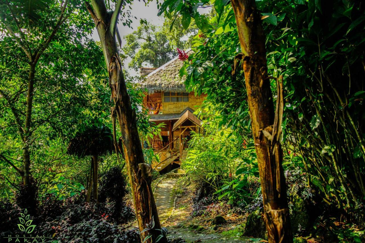 Hostal Pakay Tena Ngoại thất bức ảnh